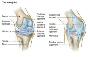 Knee pain description image